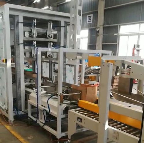 ZYL-ZX05自動食用油裝箱機 高效、可靠的跌落式裝箱自動化解決方案